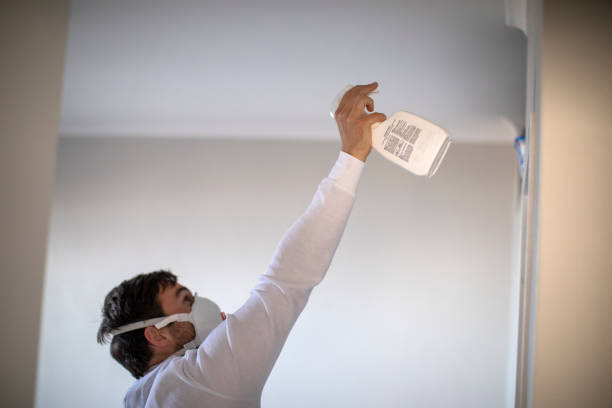 Best White Mold Remediation in Selah, WA