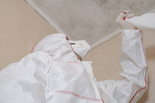 Best Kitchen Mold Remediation in Selah, WA