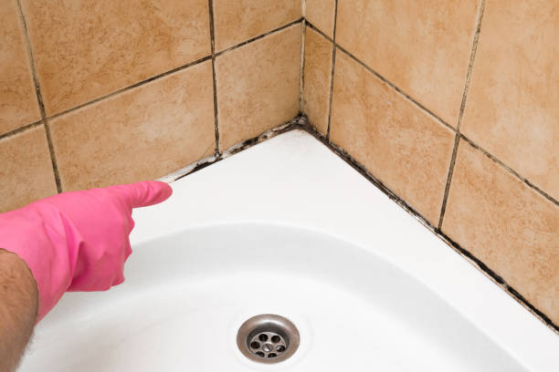 Best Emergency Mold Remediation in Selah, WA